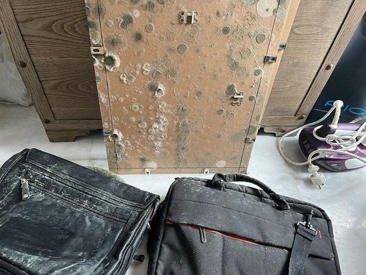 Moho negro en objetos personales