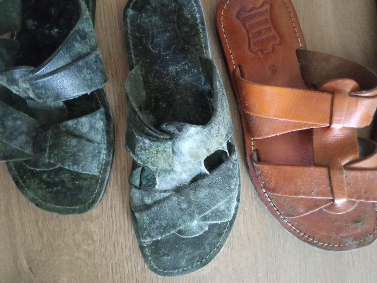 Las alergias y las humedades en el hogar