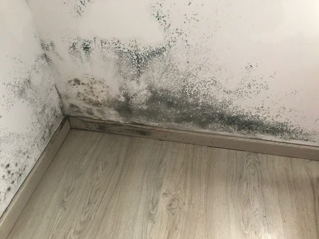 Comprobar Humedades
