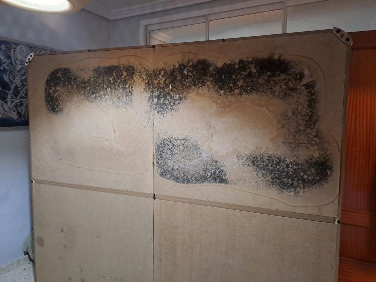 Cómo quitar el moho de las paredes y muebles