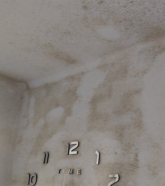 Humedad por Condensación Málaga